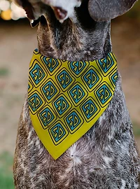 Scooby-Doo! Collar Logo Slip On Collar Pet Bandana - Bandana Only
