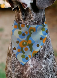Scooby-Doo! SD Dog Tag Retro Dots Multi Slip On Collar Pet Bandana - Bandana Only
