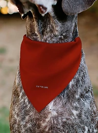 DC Comics Wonder Woman WW Logo Slip On Collar Pet Bandana - Bandana Only