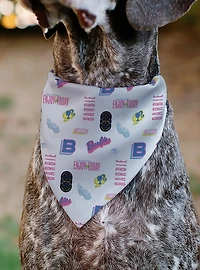 Barbie Enjoy Today Text and Icons Collage Slip On Collar Pet Bandana - Bandana Only