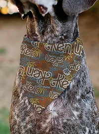 Barbie Ken Text Logo and IconsMulti Color Slip On Collar Pet Bandana - Bandana Only