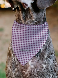 Barbie Heart Text Logo Plaid Slip On Collar Pet Bandana - Bandana Only