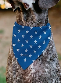 Betty Boop Americana Soldier Salute Pose and Stars Slip On Collar Pet Bandana - Bandana Only