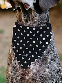 Betty Boop Biker Betty Winking and Polka Dot Slip On Collar Pet Bandana - Bandana Only