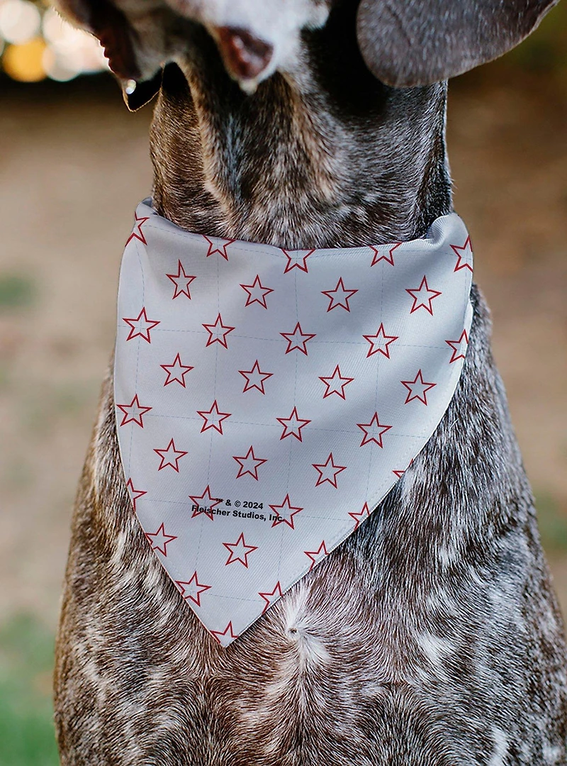 Betty Boop Face Heart and Text Stars Red Slip On Collar Pet Bandana - Bandana Only