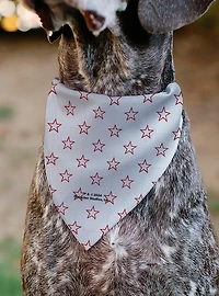 Betty Boop Face Heart and Text Stars Red Slip On Collar Pet Bandana - Bandana Only