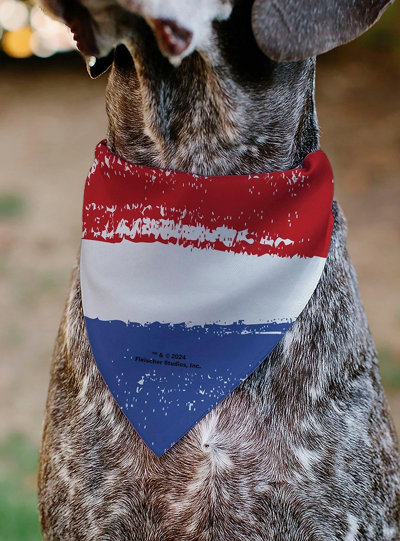 Betty Boop Pose Americana Stripe Slip On Collar Pet Bandana - Bandana Only