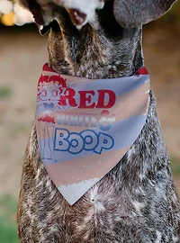 Betty Boop Stripes Pose Slip On Collar Pet Bandana - Bandana Only