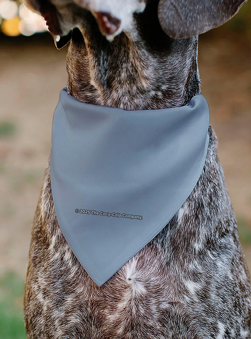 Coca-Cola Diet Coke Logo Black Slip On Collar Pet Bandana - Bandana Only