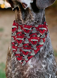 The Coca-Cola Company Coca Cola Santa Claus Stacked Slip On Collar Pet Bandana - Bandana Only