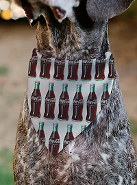 Coca-Cola Glass Bottles Collage Slip On Collar Pet Bandana - Bandana Only
