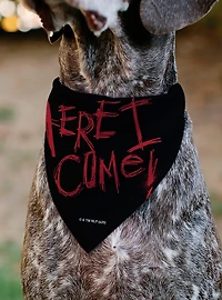 A Nightmare On Elm Street Ready Or Not Here I Come Slip On Collar Pet Bandana - Bandana Only