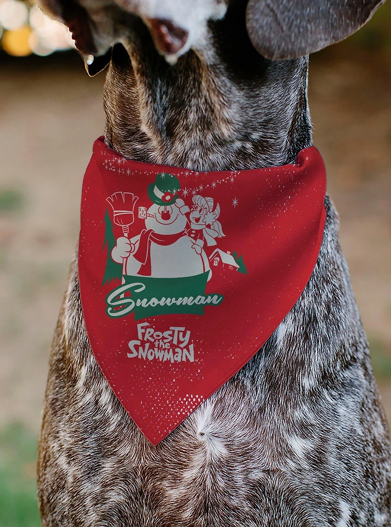 Frosty The Snowman Karen Pose and Logo Slip On Collar Pet Bandana - Bandana Only