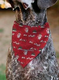 Frosty The Snowman Karen Pose and Logo Slip On Collar Pet Bandana - Bandana Only