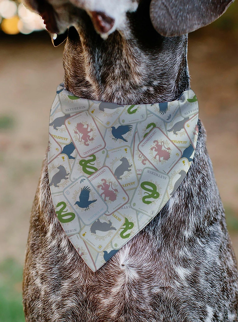Harry Potter School Tarot Cards Stacked Multi Slip On Collar Pet Bandana - Bandana Only