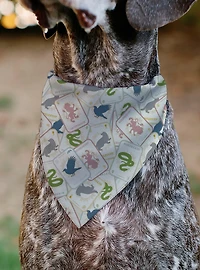 Harry Potter School Tarot Cards Stacked Multi Slip On Collar Pet Bandana - Bandana Only
