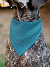 Harry Potter Chibi Engorgio Charm Polka Dot Slip On Collar Pet Bandana - Bandana Only