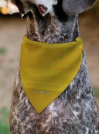Harry Potter Hufflepuff Traits Banner and Icons Slip On Collar Pet Bandana - Bandana Only
