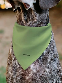 Invader Zim Invader Zim Gir Full Body Pose Close Up Slip On Collar Pet Bandana - Bandana Only
