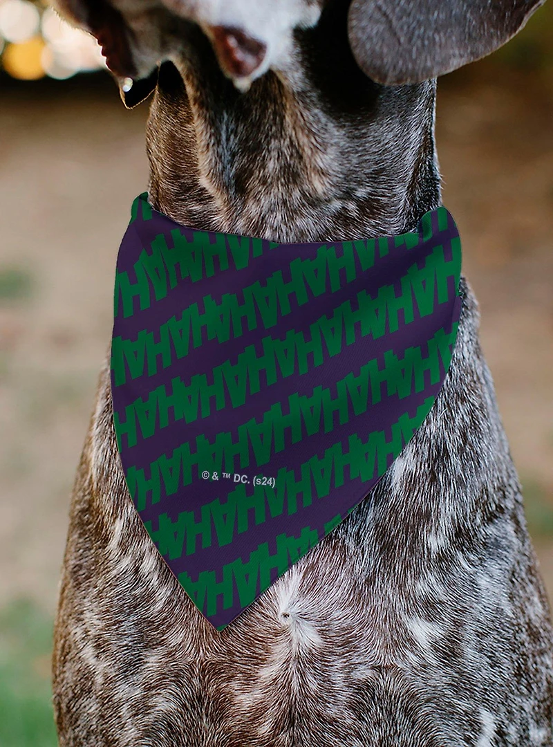 DC Comics The Joker Laugh Hahaha Text Slip On Collar Pet Bandana - Bandana Only