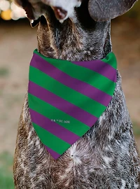 DC Comics The Joker Title and Stripe Purple Slip On Collar Pet Bandana - Bandana Only