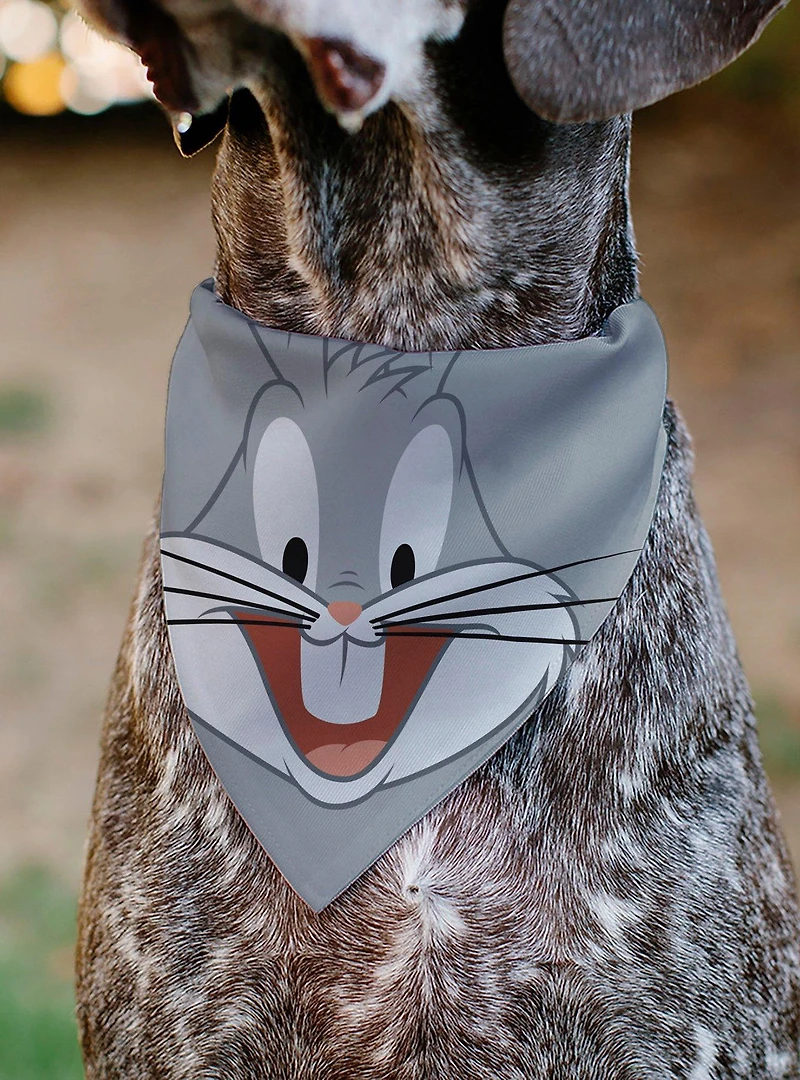Looney Tunes Bugs Bunny Face Close Up Slip On Collar Pet Bandana - Bandana Only