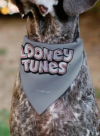 Looney Tunes Bugs Bunny Face Close Up Slip On Collar Pet Bandana - Bandana Only