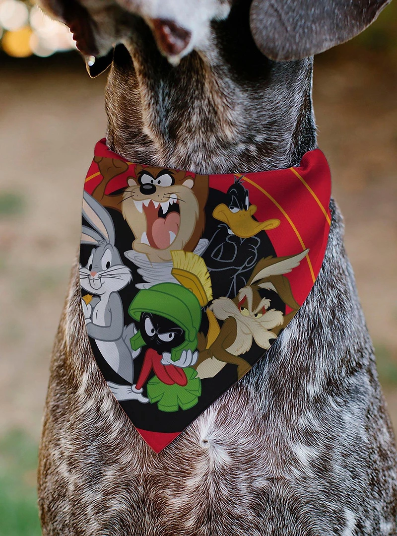 Looney Tunes Five Character Target Close Up Pose Slip On Collar Pet Bandana - Bandana Only