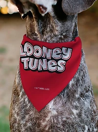 Looney Tunes Five Character Target Close Up Pose Slip On Collar Pet Bandana - Bandana Only
