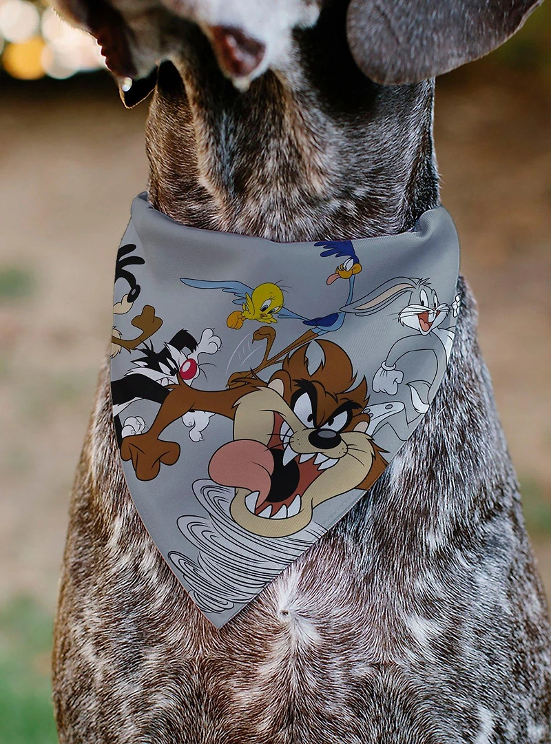Looney Tunes Seven Character Running Pose Slip On Collar Pet Bandana - Bandana Only