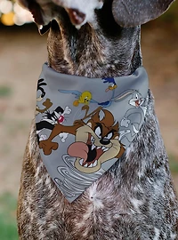 Looney Tunes Seven Character Running Pose Slip On Collar Pet Bandana - Bandana Only