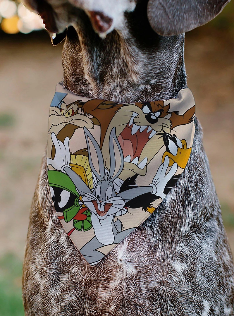 Looney Tunes Six Character Stack Pose Slip On Collar Pet Bandana - Bandana Only