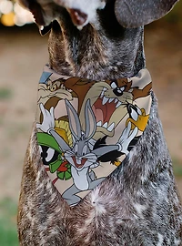 Looney Tunes Six Character Stack Pose Slip On Collar Pet Bandana - Bandana Only