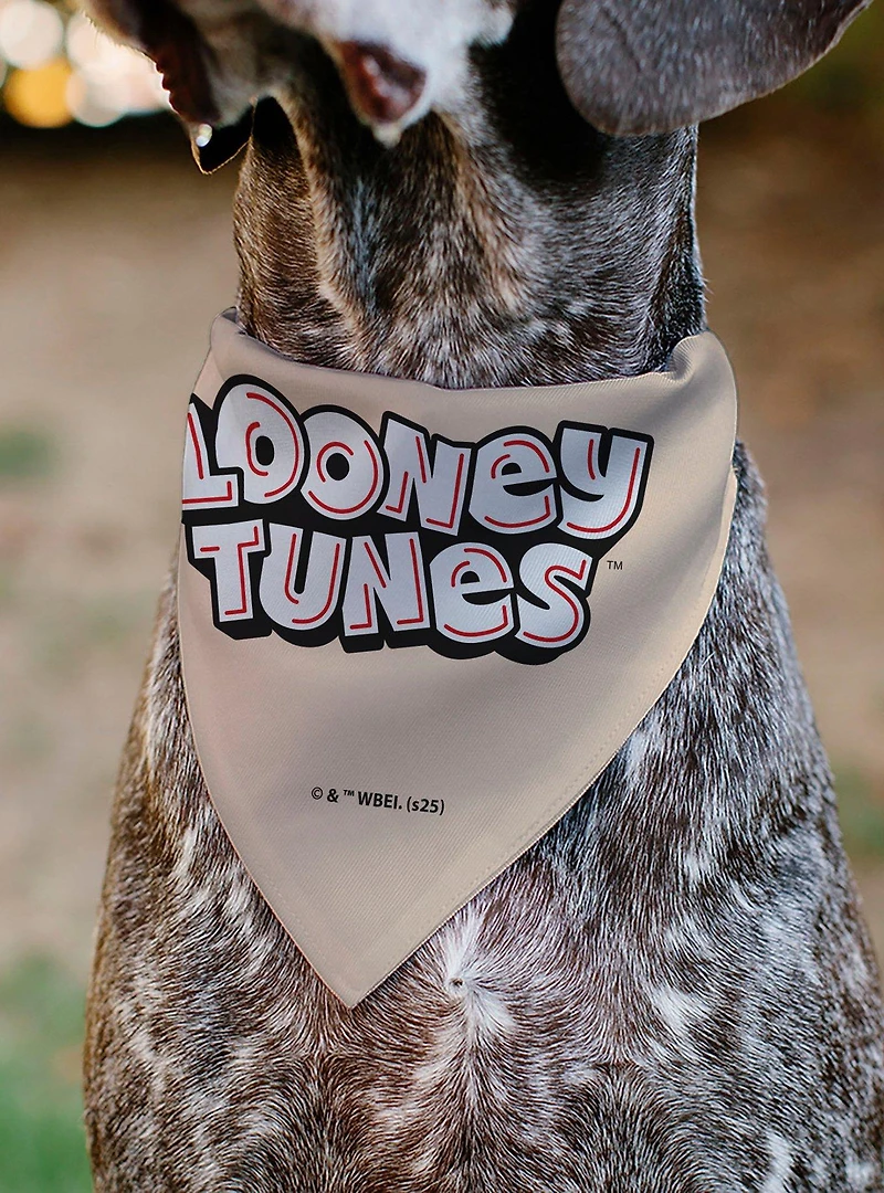 Looney Tunes Six Character Stack Pose Slip On Collar Pet Bandana - Bandana Only