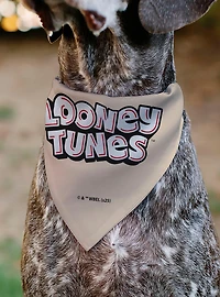 Looney Tunes Six Character Stack Pose Slip On Collar Pet Bandana - Bandana Only