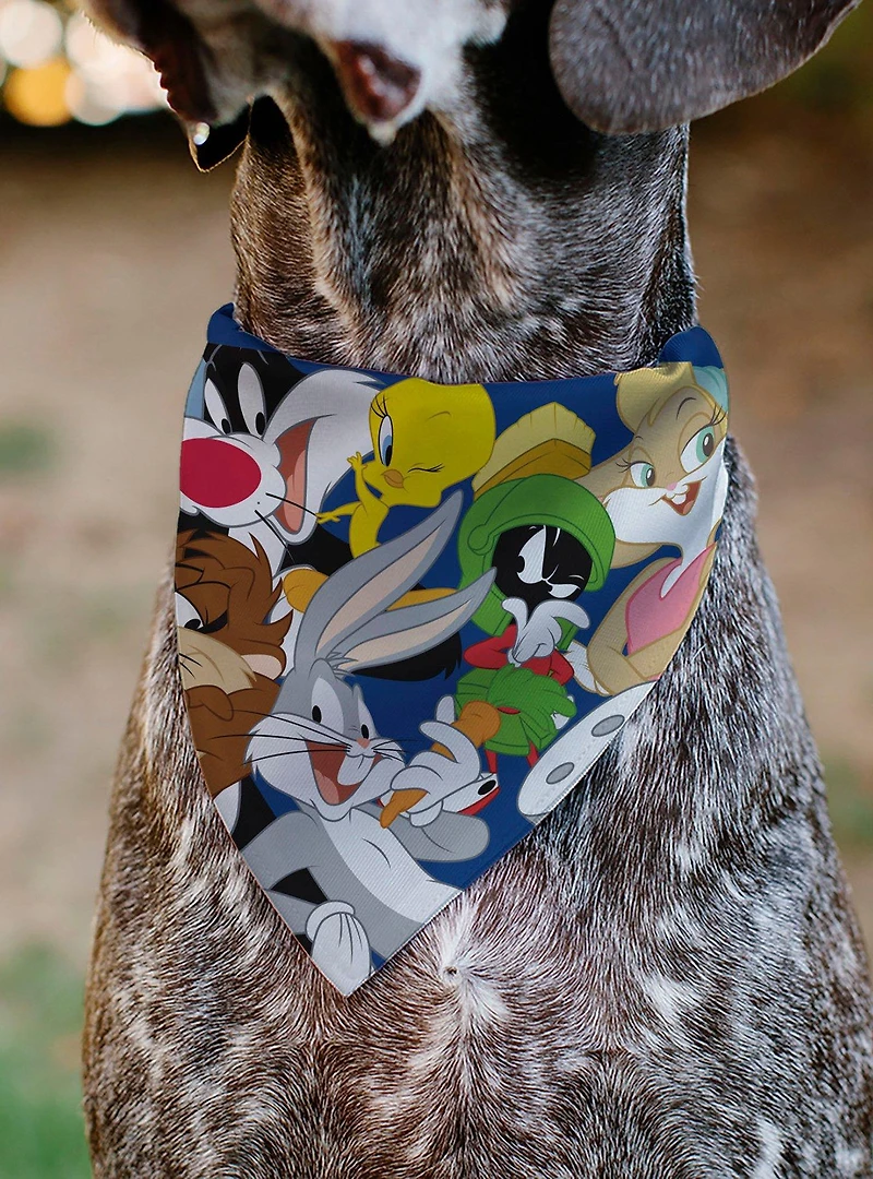Looney Tunes Seven Character Stack Pose Slip On Collar Pet Bandana - Bandana Only