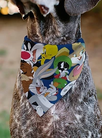 Looney Tunes Seven Character Stack Pose Slip On Collar Pet Bandana - Bandana Only