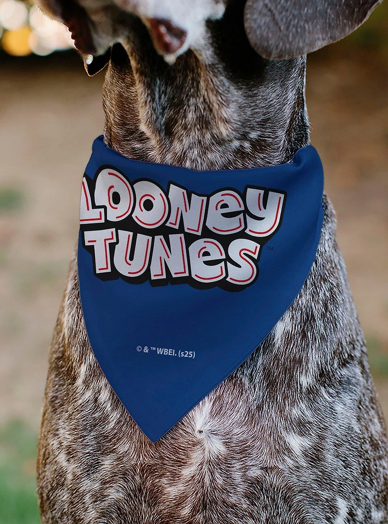 Looney Tunes Seven Character Stack Pose Slip On Collar Pet Bandana - Bandana Only