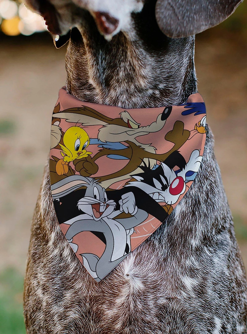 Looney Tunes Six Character Running Pose Slip On Collar Pet Bandana - Bandana Only