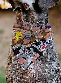 Looney Tunes Six Character Running Pose Slip On Collar Pet Bandana - Bandana Only