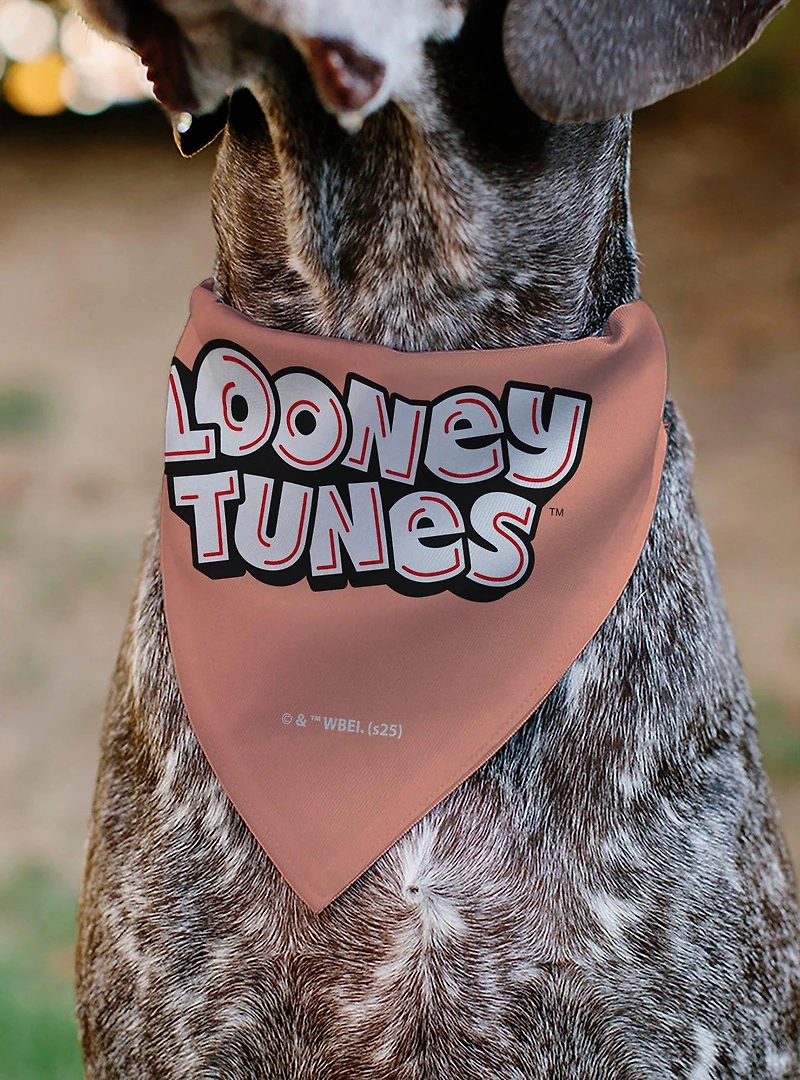 Looney Tunes Six Character Running Pose Slip On Collar Pet Bandana - Bandana Only