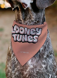 Looney Tunes Six Character Running Pose Slip On Collar Pet Bandana - Bandana Only