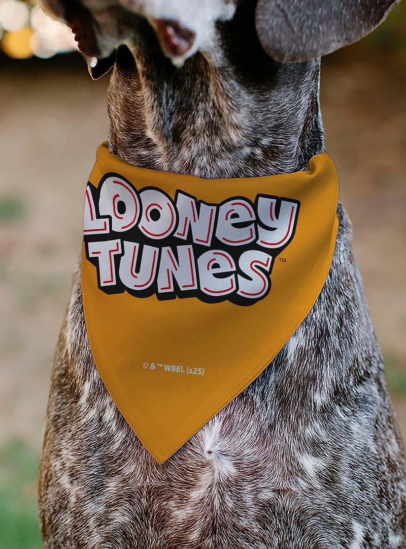 Looney Tunes Five Character Target Pose Slip On Collar Pet Bandana - Bandana Only