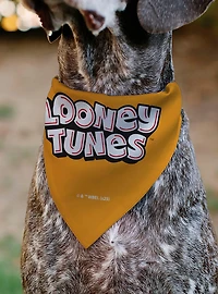 Looney Tunes Five Character Target Pose Slip On Collar Pet Bandana - Bandana Only