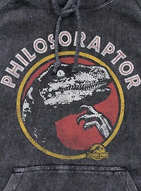 Jurassic Park Philoso Raptor Mineral Wash Hoodie