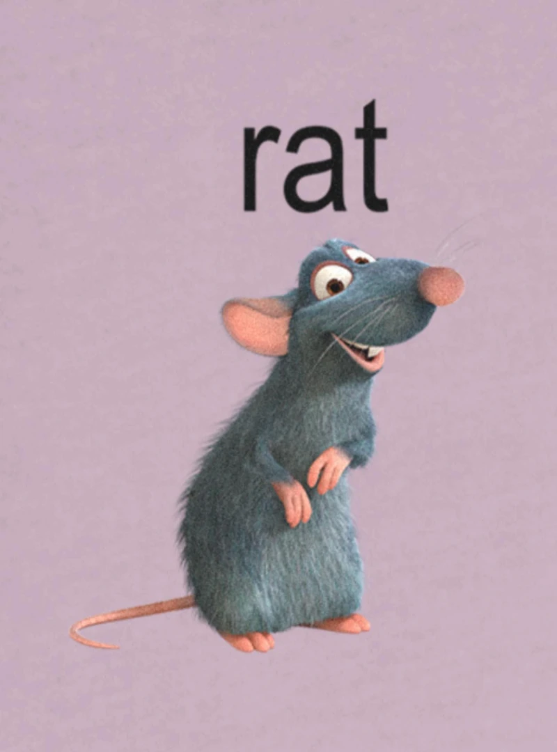 Disney Pixar Ratatouille Rat Womens Slouchy Sweatshirt