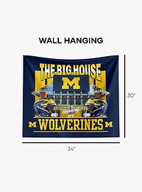 NCAA Michigan Wolverines The Big House Wall Hanging