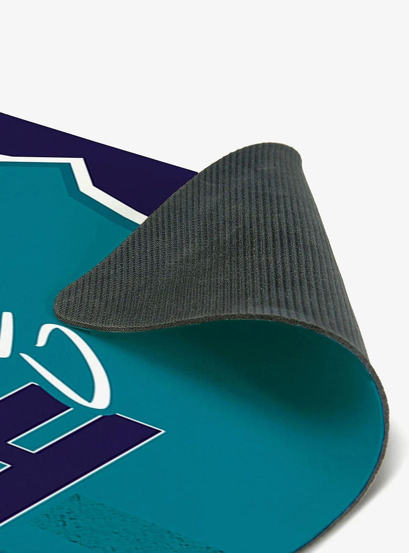 NBA Charlotte Hornets Torn Small Mat