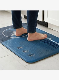 NBA Minnesota Timberwolves Painterly Floor Mat