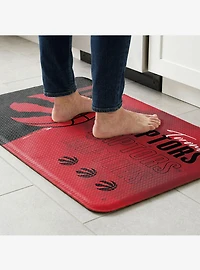 NBA Toronto Raptors Painterly Floor Mat